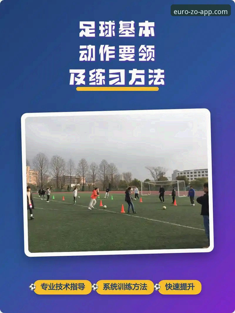 中欧体育教程使用指南最新动态：新手十分钟掌握注册与操作全流程
